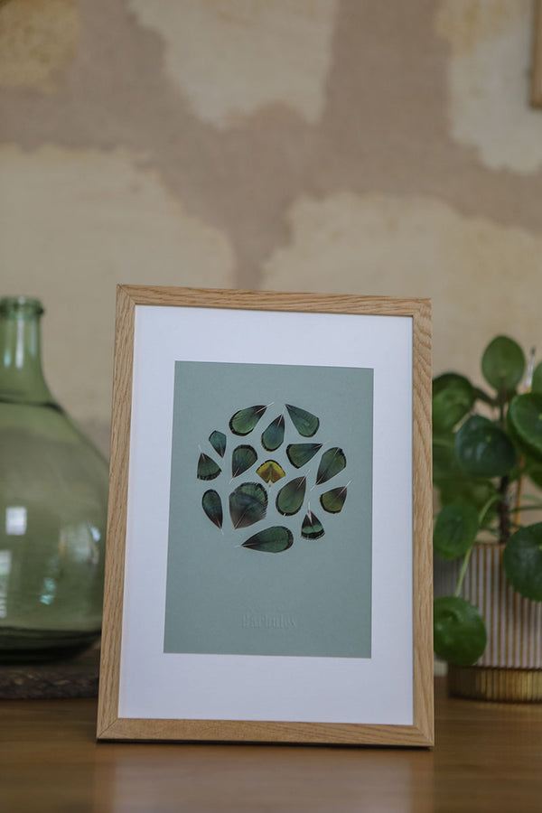 Lune faisan de lady Amherst & paon | papier vert de gris | A5